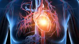 Egy új felfedezés megakadályozhatja a sztrókot és az infarktust 