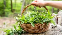 Ingyen is beszerezheted ezt a csodaszert: csökkenti a vércukrot, ragyogóvá teszi a hajat