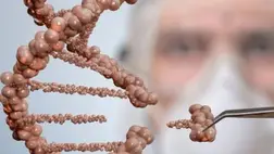 Istent akar játszani a tudomány: mesterségesen alkotnák meg az emberi DNS-t. Illusztráció. Fotó: Internet