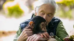 Jane Goodall (Fotó: SUMY SADURNI/AFP)