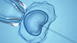 Jön az anya nélküli gyerekek kora? Döbbenetes kísérletet végeztek egy laborban