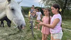 Lovastáborban a nagycsaládosok - Nyeregbe, gyerek!