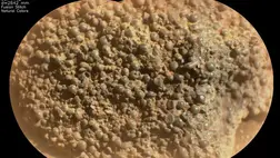 Furcsa dolgot találtak a Marson; egyelőre a NASA sem tudja, mi lehet 