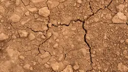 Meglepő módszer találtak fel a súlyos aszály ellen. Illusztráció. Fotó: Internet