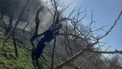 Reménykedő őszibaracktermesztők - Túl a fagyos éjszakákon