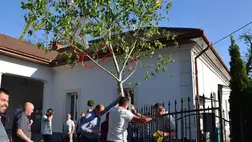 A nagycsaládos házaspárok hagyományőrző találkozóján - Májusfaállítás, szerenád, táncklub. Fotó: Kárpátinfó/ Kovács Elemér