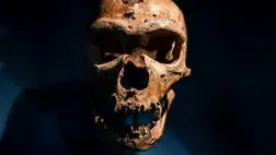 110 000 éves rejtély végére tehet pontot egy új felfedezés 