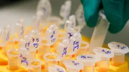 Nem mindennapi tudományos kísérletre derült fény az Egyesült Királyságban, több csecsemő is érintett volt benne. Illusztráció. Fotó: Internet