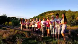 Nőszövetségi kirándulás a levendulásba és a Fehér Sziklához - Kellemes környezetben, jó társasággal – közelebb Istenhez. Fotó: Kárpátinfó/ Kovács Erzsébet