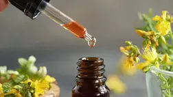 Orbáncfű – Ezért rajong érte annyi nő és így használd 