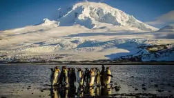 Trump vámjai elérték az Antarktisz lakatlan szigeteit is – ahol csak pingvinek élnek