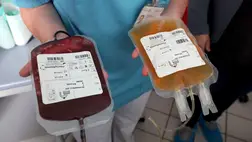 A Romániába menekülő Biopharma Plasma egy 35 ezer négyzetméteres gyárat épít fel Nagyváradon / Fotó: dpa Picture-Alliance via AFP