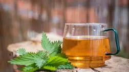 Serkentik az emésztést, gyorsítják a méregtelenítést