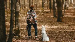 Mennyit kell sétálnod egy nap, hogy egészséges legyél? 
