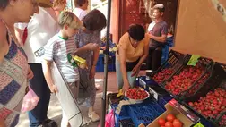 Tele kamra – 2025 - Búcsú az olcsó befőzési szamócától. Fotó: Kárpátinfó/ Kovács Elemér