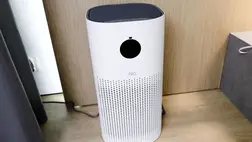 Tényleg megéri légtisztítót venni allergia ellen? A szakértő válaszolt