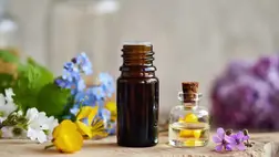 Természetes szúnyogriasztók: hatékony illóolajok a nyári védelemért 