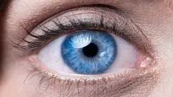 Új áttörés a látás helyreállításában: kifejlesztettek egy gyógyszert, amely visszafordíthatja a vakságot. Illusztráció (Forrás: Shutterstock)