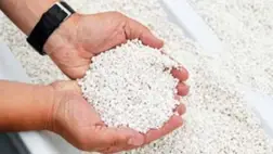 Új utakon a fóliasátras zöldségtermesztésben, avagy megoldások a talajproblémákra (6.) 