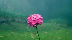 Változást munkálni. Illusztráció. Fotó: Internet