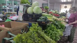 Zöldségtermesztés. Elmarad a csúcsra járatás időszaka? - Nincs túlkínálat, késik a dömping. Fotó: Kárpátinfó/ Kovács Elemér