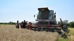 Aratás – 2024 - A kevesebb most több. Fotó: Kárpátinfo/Kovács Elemér