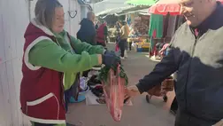 Indul a palántaszezon - Kockázat nélkül nem megy