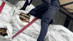 Kárpátalján lefoglaltak egy közel 10 millió hrivnyás hódprém szállítmányt a szlovák határon