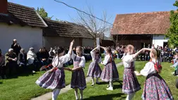 Tájházak és Szabadtéri Múzeumok Napja a Nagyberegi Tájházban - A múlt nyomában, a jelen örömével 