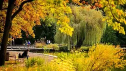 Őszi színekben pompázó fák Debrecenben 2025. október 14-én. MTI/Czeglédi Zsolt