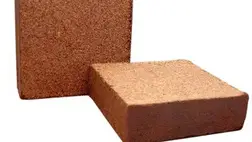 A kókusz (mint ültető közeg) pufferolása és mosatása