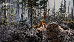 A csernobili atomerőmű körüli zárt övezetben május 7-én tört ki erdőtűz Fotó: HANDOUT / STATE EMERGENSY SERVICE OF UKRAINE