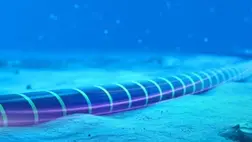 Tengerfenéki kábel. ( Illusztráció )