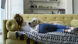 Ezért reagálnak a kutyák percekkel a veszély előtt, és mentik meg az életünket. Illusztráció. Fotó: Klaus Vedfelt / Getty Images Hungary