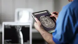 Négyszer válunk új emberré életünk során, teljesen újrahuzalozódik az agyunk. Illusztráció. Fotó: Internet