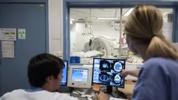 Meghökkentő térkép készült az agyunkról, teljesen átrajzolja azt, amit eddig gondoltunk. Illusztráció. Fotó:  Lafabregue / Alpaca/Andia / Universal Images Group / Getty Images