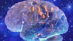 Meghökkentő felfedezés: harmincévesen nő csak be a fejünk lágya