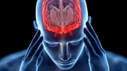 Aggasztó folyamatot vettek észre a fogyókúrázók agyában