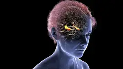 Kiderült, miért érinti gyakrabban a nőket az Alzheimer-kór