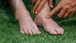  A bokaduzzanat leggyakoribb okai 