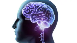 Hihetetlen, de igaz: chipet fognak az agyunkba fecskendezni