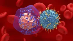 Áttörés a rák gyógyításában: teljes daganatok tűntek el a kísérletekben