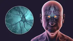 Rémisztő magyarázatot találtak az egyre gyorsabban terjedő demencia okára