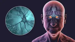 Megvan az étel, ami védhet a demencia ellen