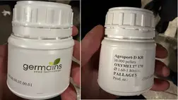 Félmilliós dohánymag-fogás Asztélynál. Fotó: Kárpátaljai Vámhivatal