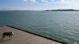 A Balaton-part a balatonfüredi Brázay parknál 2026. február 25-én. MTI/Vasvári Tamás