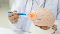 Meglepő kapcsolat: bizonyos ételek valóban védhetnek a stroke ellen