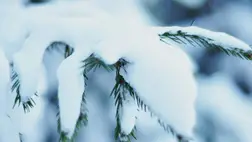 A csoda mindig csendben történik. Illusztráció. Fotó: unsplash