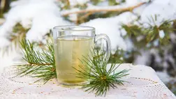 A hideg telek régi ellenszere: ez az erdei tea ma is bevethető nátha ellen