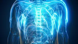 Rejtett veszély fenyegeti a szívet – a férfiak lehetnek nagyobb bajban